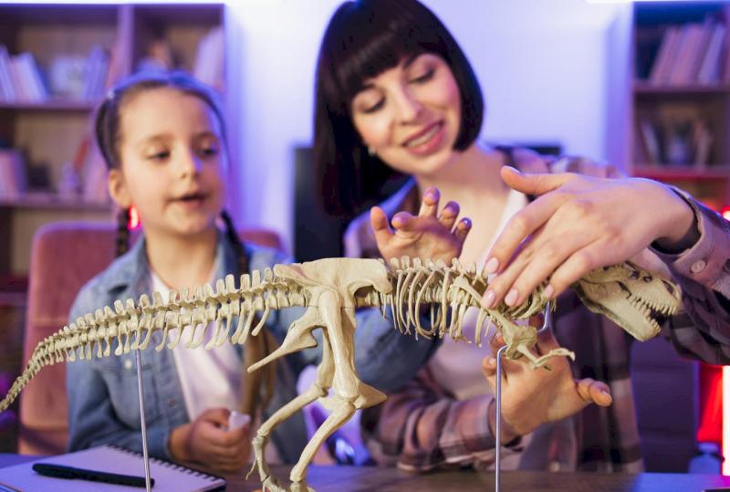 Adventure Science Center limo service