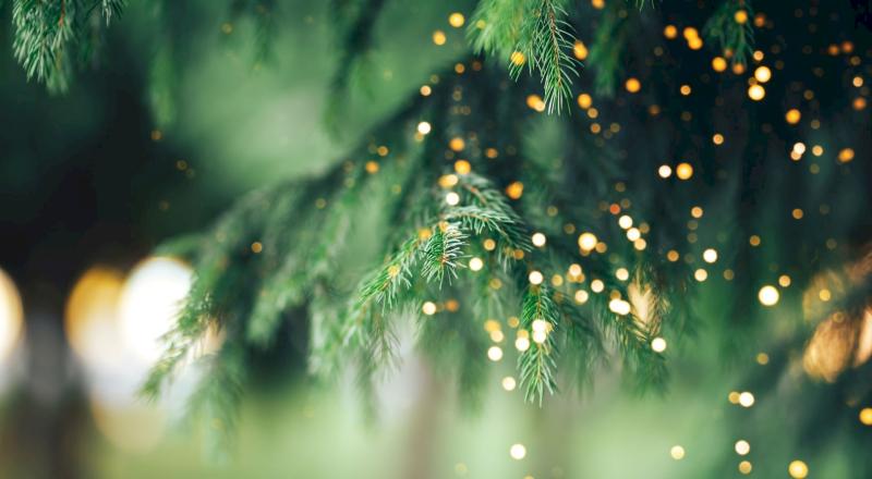The Complete Guide to Christmas Light Tours in Nashville