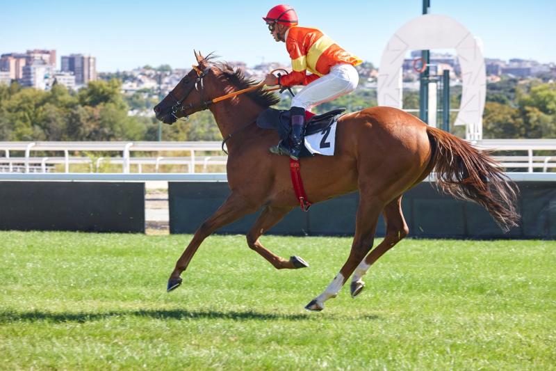 Saddle up for Kentucky Derby 2019