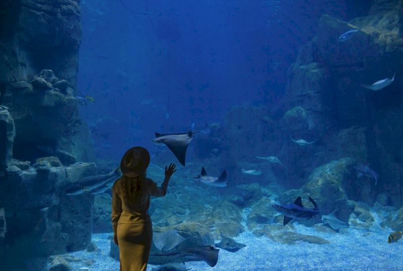 Fun Things to Do in Chattanooga: A First-Timer's Hit List