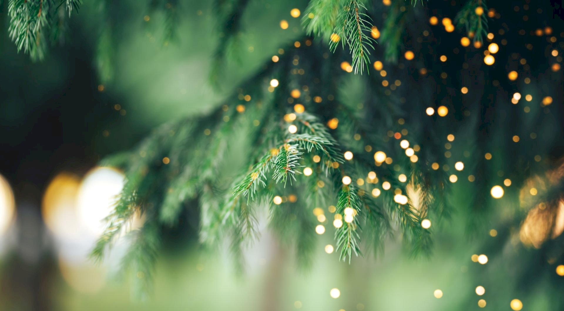 The Complete Guide to Christmas Light Tours in Nashville