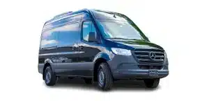 Elite Sprinter