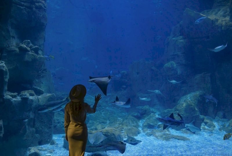 Fun Things to Do in Chattanooga: A First-Timer's Hit List