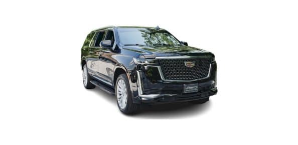Premium SUV